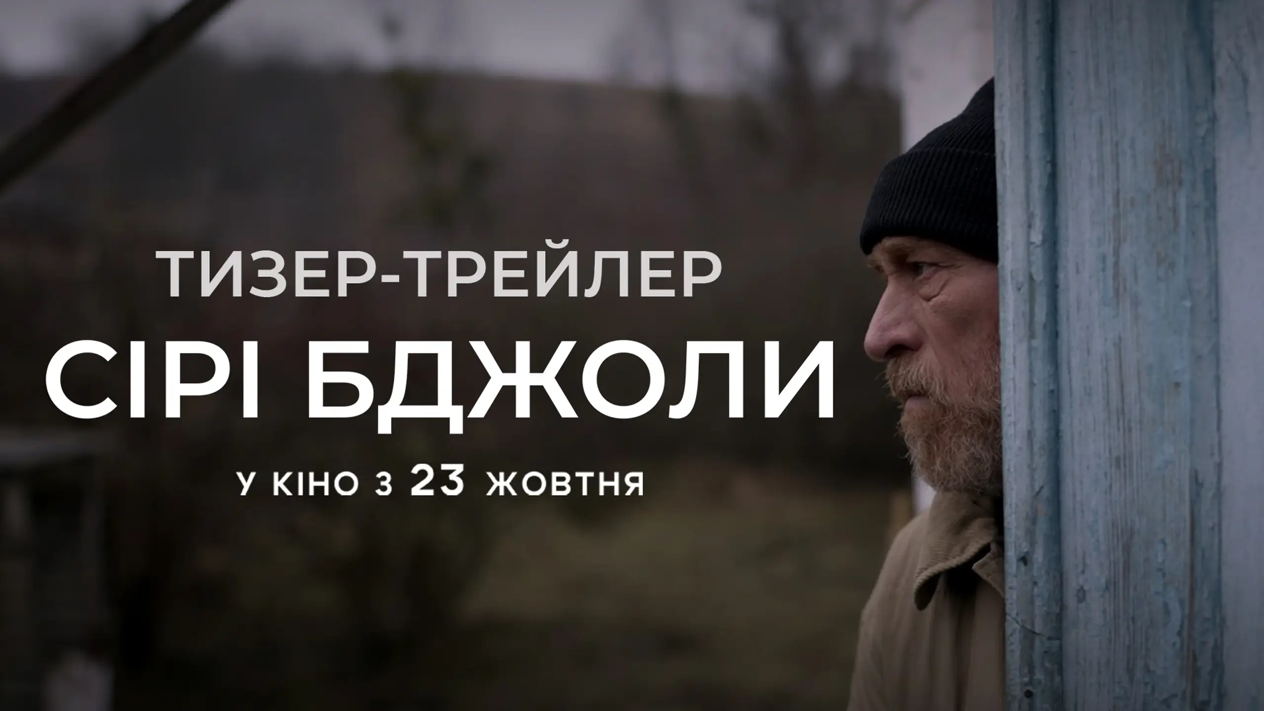 Тизер
