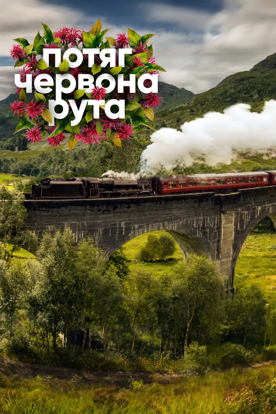 ПОТЯГ ЧЕРВОНА РУТА