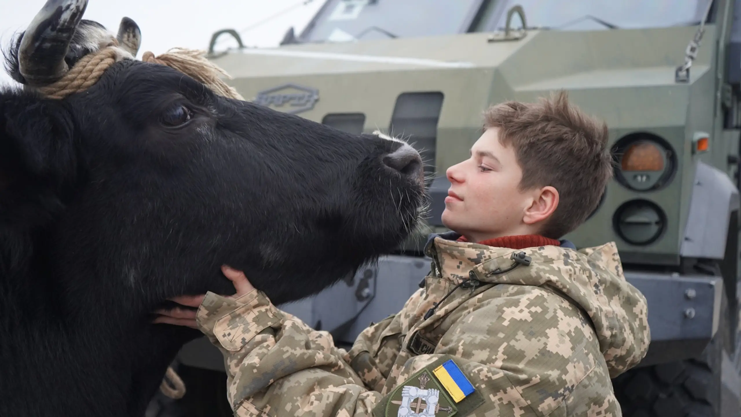 Кадри