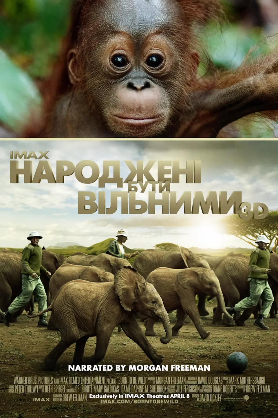 НАРОДЖЕНІ БУТИ ВІЛЬНИМИ