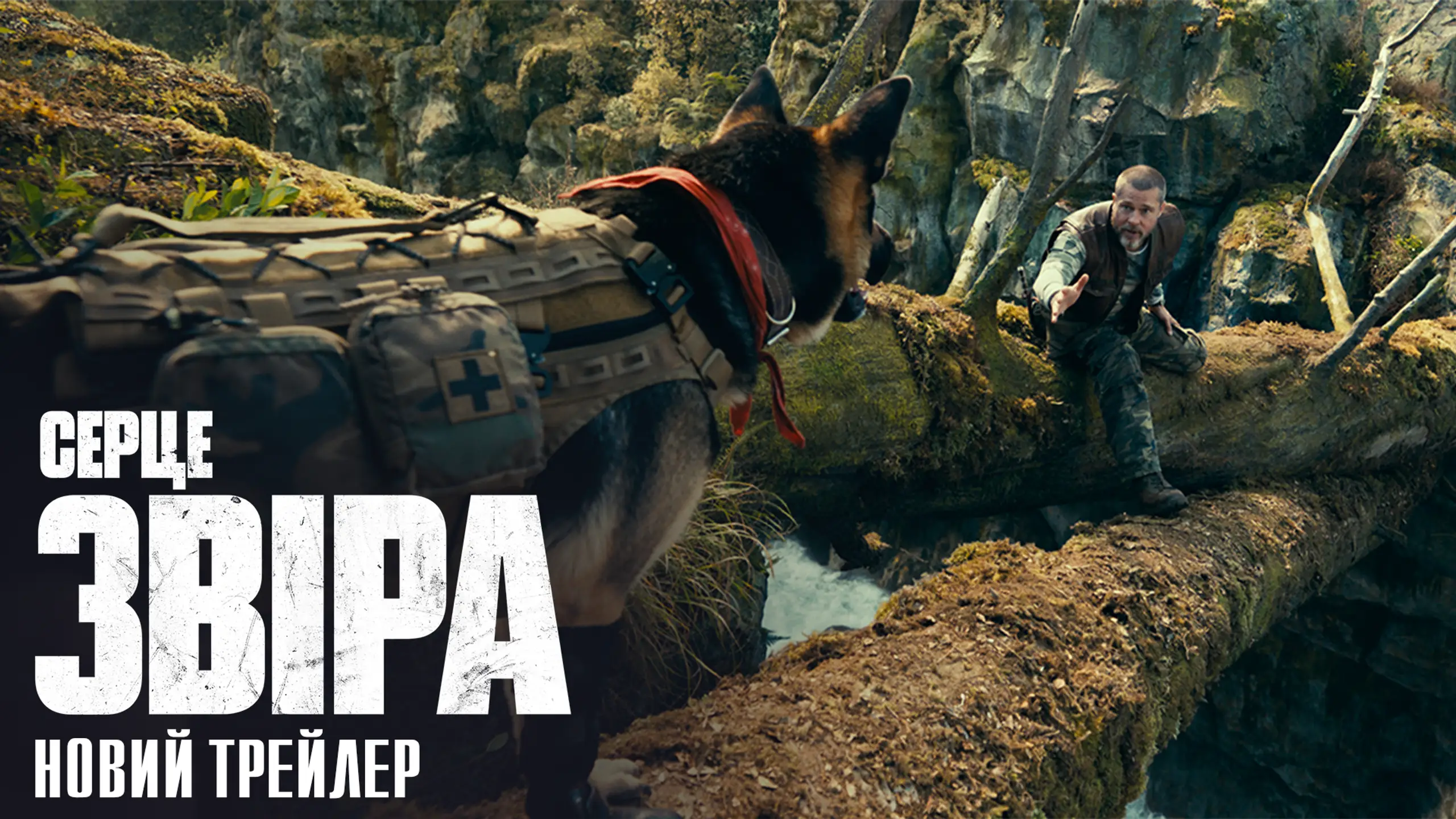 Трейлер 2