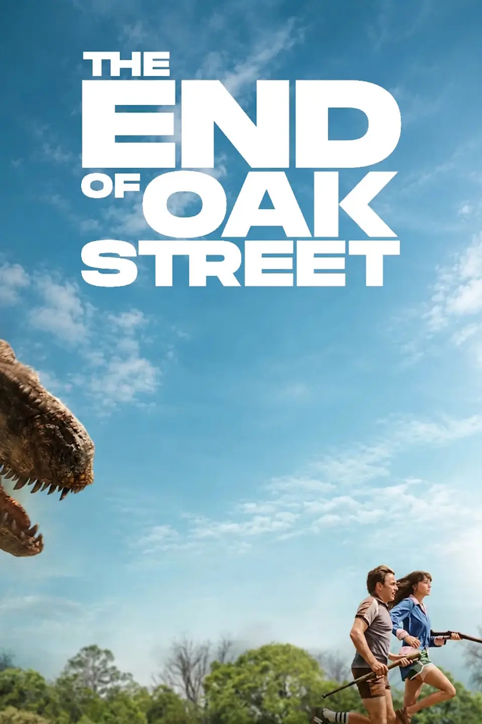 THE END OF OAK STREET