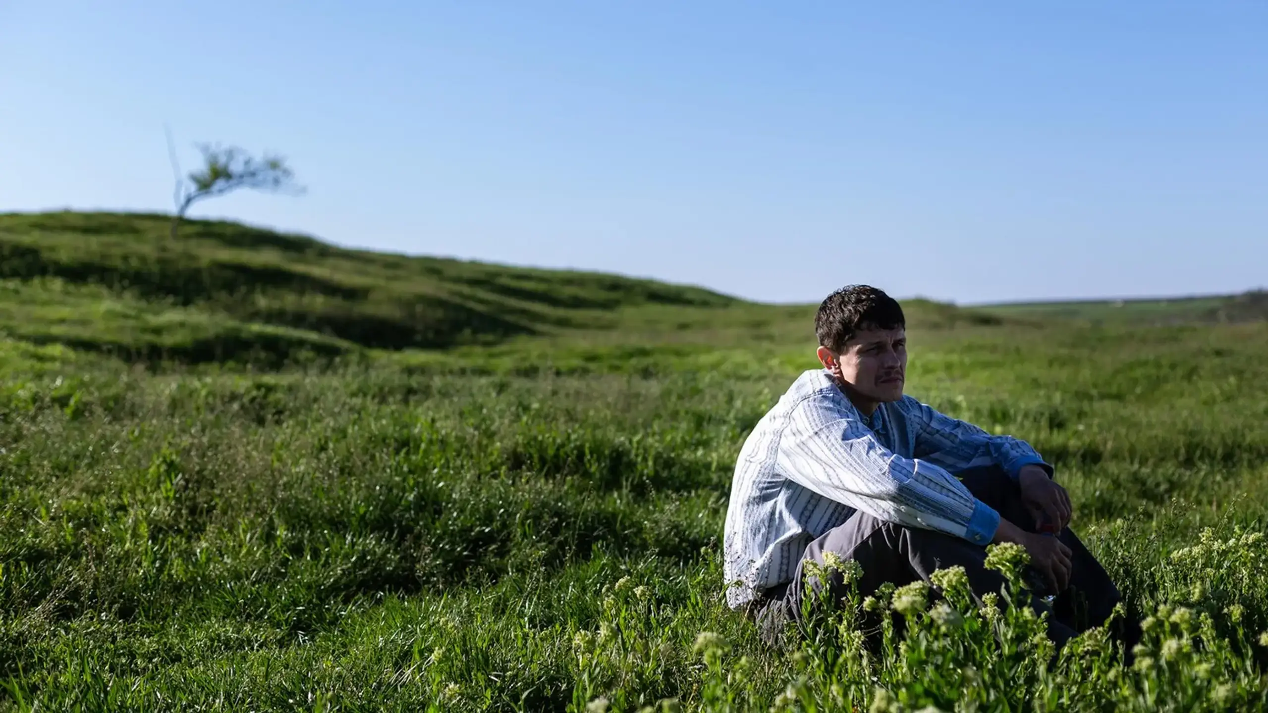 Кадри