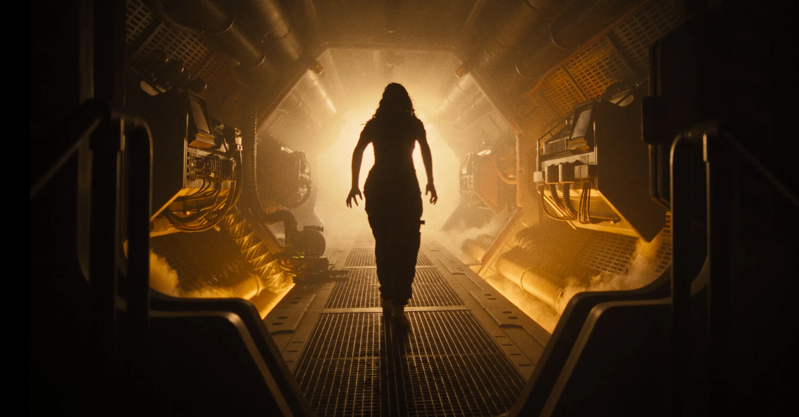 Stills