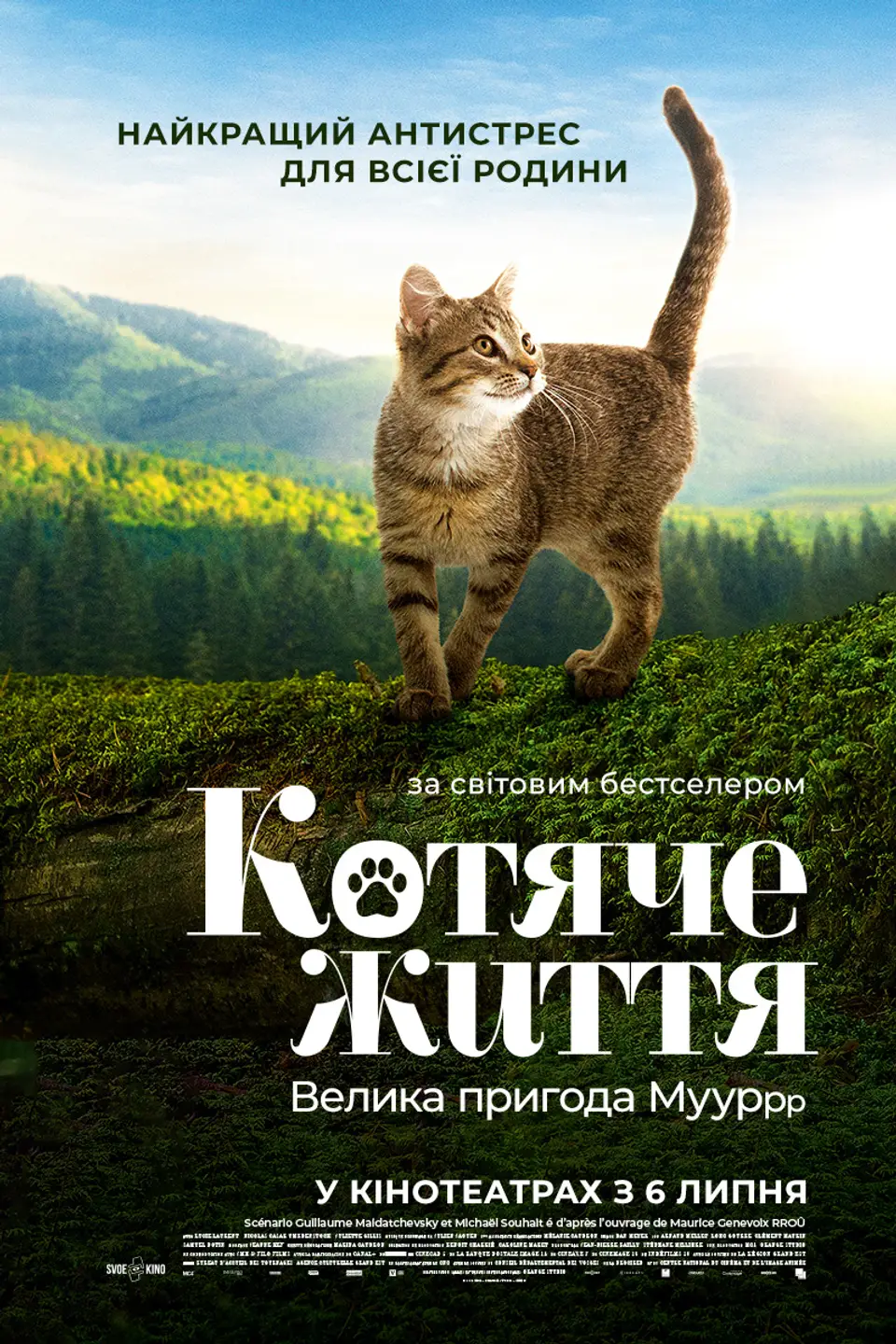 Котяче життя. Велика пригода Муурр (КіноМама)