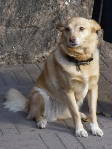 Альма